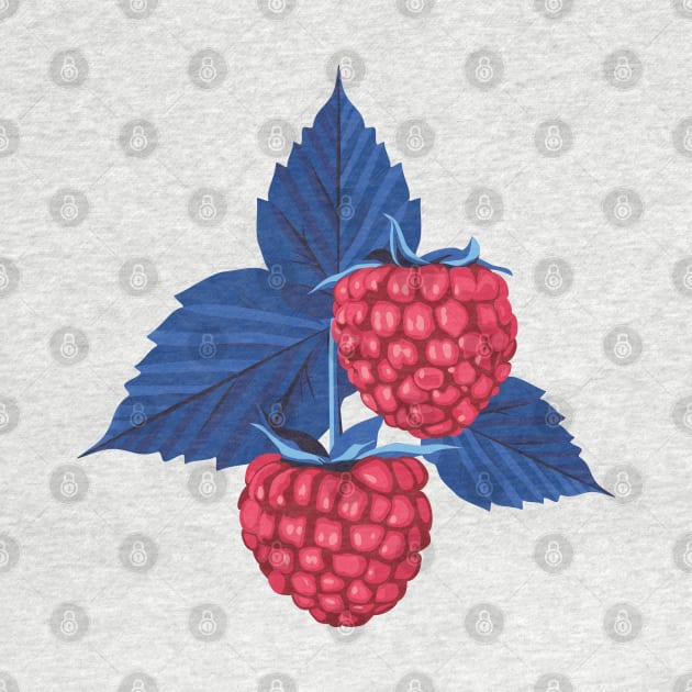 Raspberry illustration by lents